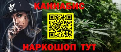 индика Лесосибирск