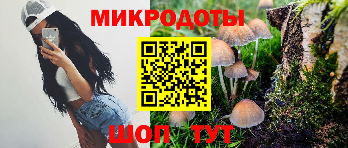 Галлюциногенные грибы прущие грибы Гурьевск